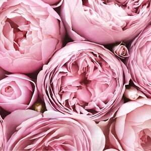 Bundle for darlingsale